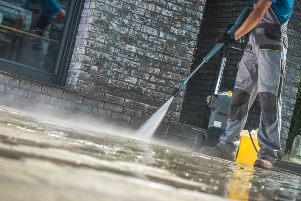 Best Gutter Cleaning  in Alton, TX