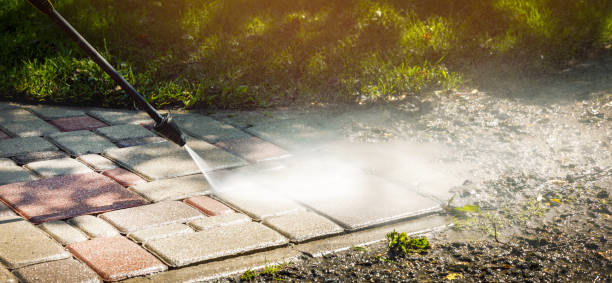 Best Patio and Deck Pressure Washing  in Alton, TX