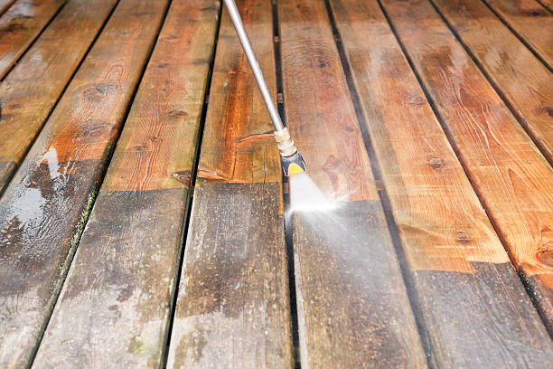 Best Restaurant Pressure Washing  in Alton, TX
